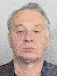 Amir Dolamić
