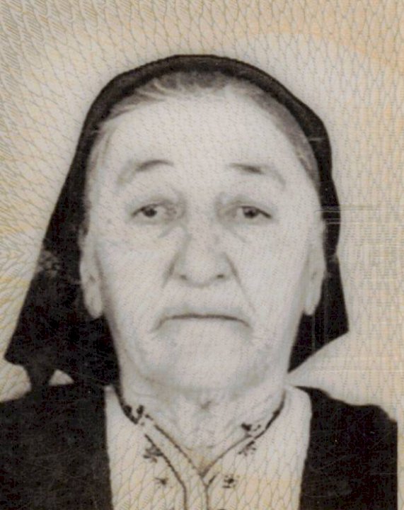 Ruža Beljo