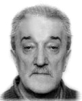 Damjan Pavlović