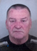 ZDRAVKO DOBRANIĆ