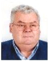 IVAN DOMIJAN