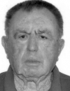 IVE MOROŽIN ŽUTI (78)