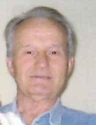 Fadil Vikalo (82)