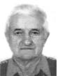 JOSIP PISARIĆ