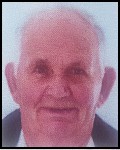 Veselko Begić – Bikić