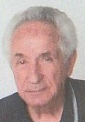 Hasan Insanić