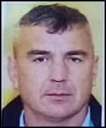 Damir Grubišić