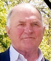 Stanko Sesar Mićić