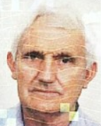 Grgo Kvesić