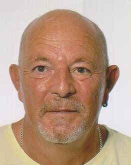 GORAN DUBAJIĆ