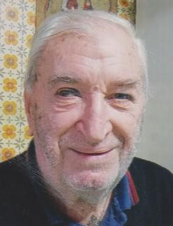 VLADIMIR MERLIĆ