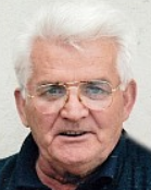 Dane Džeba