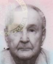EMIL PLAVEC