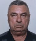 Irfo Peleš