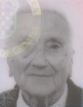 PAVICA ACKERMANN