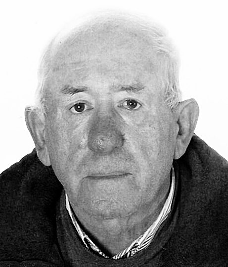 IVICA STRIKA