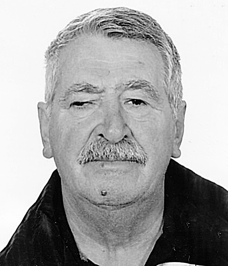 MILAN MATIJEVIĆ