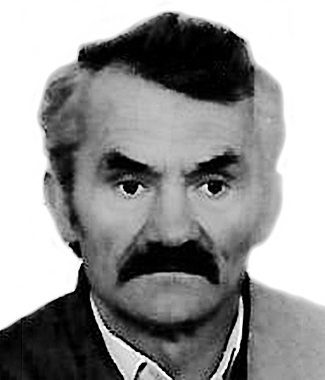 VICE PINTUR