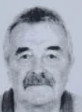 Ante Ćosić