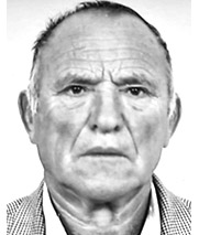 LUKA MITROVIĆ
