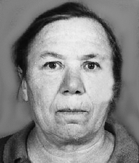 PAVICA VULIĆ