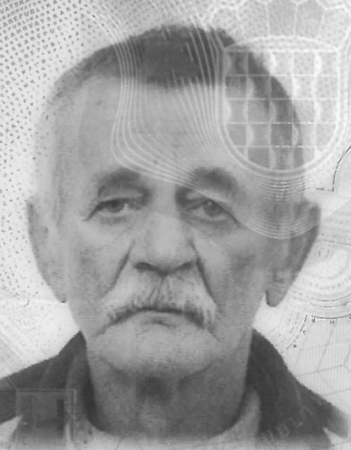 DOMIN ĆOSIĆ