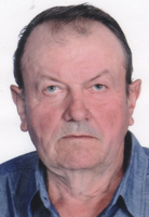 JOSIP PETRINČIĆ  - iz Petrinčići