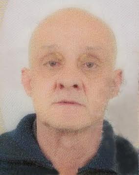 LJUBOMIR BARIŠIĆ