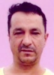 Ivo Anić