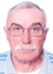 Mirko Momčilović