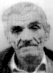 Jovo Rosić