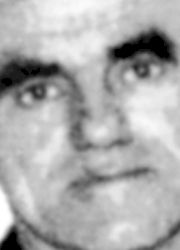 Živojin Jokić