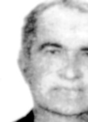 Risto Orbović