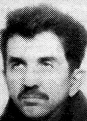 Miroslav Šaulić