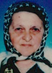 ŠEVALA VITEŠKIĆ (84)