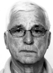 VOJKO KRSTULOVIĆ