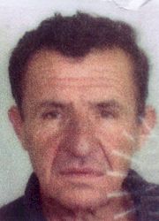 Ljubo Jurišić - Drinić