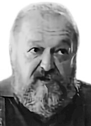 ANTUN BORIS ŠVALJEK